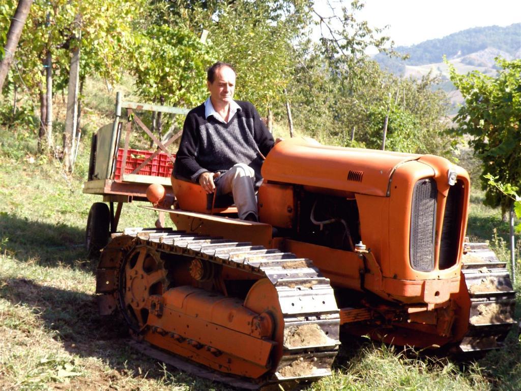 Agriturismo Ca' Isotta Castello di Serravalle Eksteriør billede